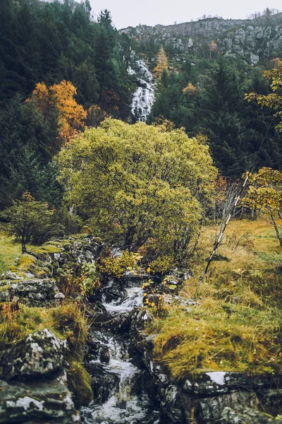 Vale verde da montanha — Fotografia de Stock