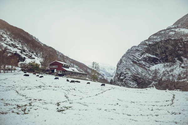 Güzel dağ manzarası — Stok fotoğraf