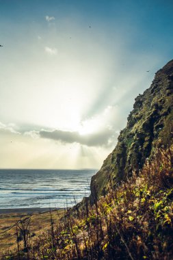 Dağ tepeleri ile bitkiler