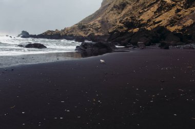 Siyah kum ve taş ile deniz kıyısı