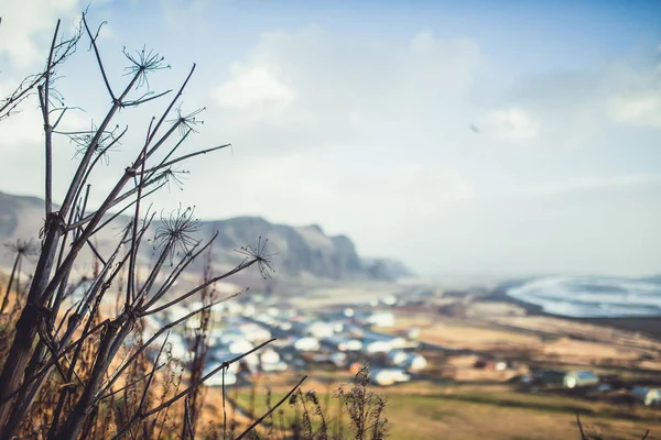 Plantas de montanha e torres sobre colinas de mounatins — Fotografia de Stock