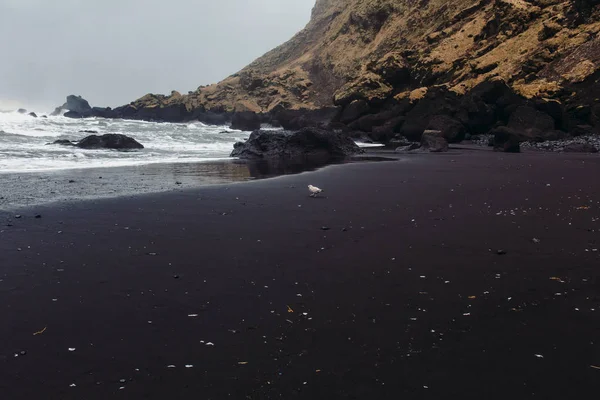 Costa con arena negra y piedras — Foto de Stock