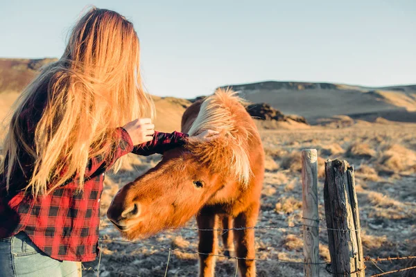 Fille jouer avec cheval — Photo