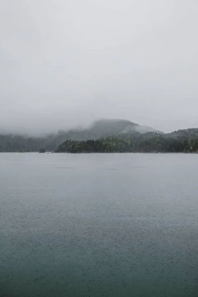Lago del bosque en tiempo brumoso —  Fotos de Stock