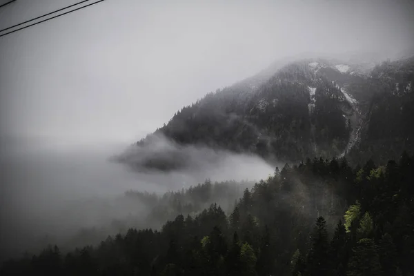 Горный лес в туманную погоду — стоковое фото