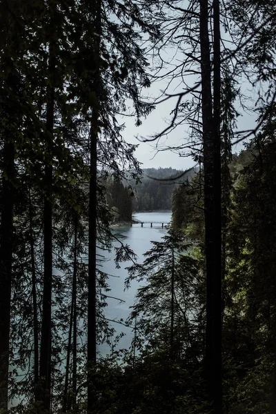 Lago del bosque en tiempo brumoso — Foto de Stock