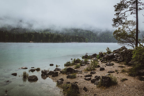  Forest lake in misty weather 