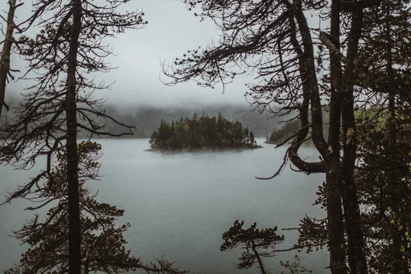 Δάσος στη λίμνη σε ομιχλώδη καιρό — Φωτογραφία Αρχείου