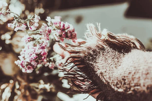 手与花卉种子和壳 — 图库照片