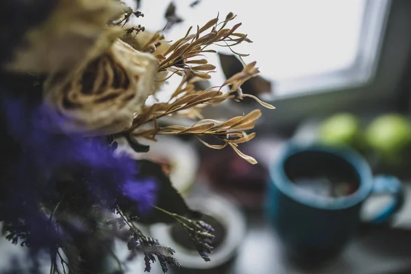 Dried plants in glasses — Stock Photo, Image