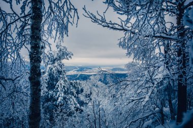 Karla kaplı üç kere