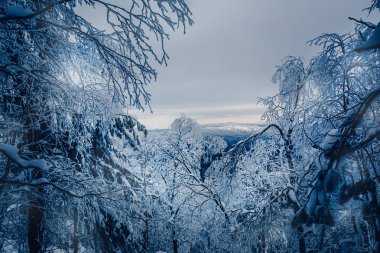 Karla kaplı üç kere