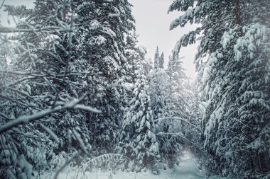 Karla kaplı üç kere