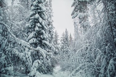 Karla kaplı üç kere