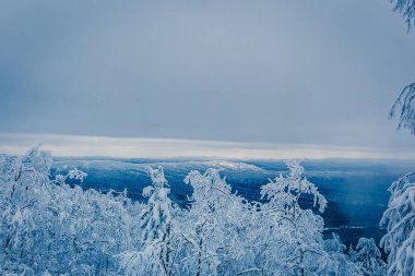 Karla kaplı üç kere