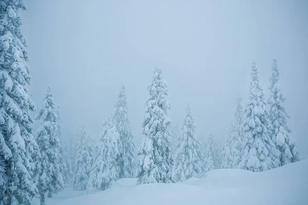 Ameaças cobertas de neve — Fotografia de Stock