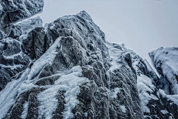 Pedras cobertas de neve — Fotografia de Stock