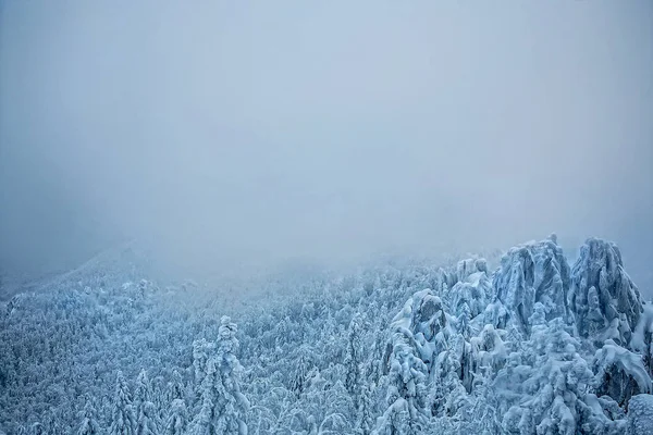 Paisagem rochosa no inverno — Fotografia de Stock