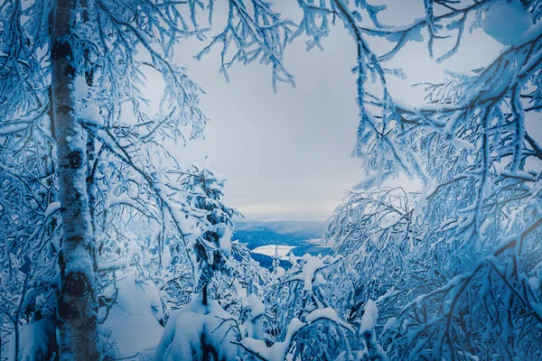 Ameaças cobertas de neve — Fotografia de Stock