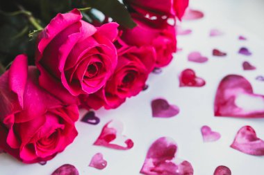 taze pembe Gül ve kalp