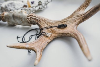 geyik boynuzu ve kolye