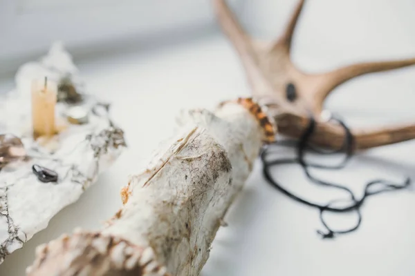 Elk horn and pendants — Stock Photo, Image