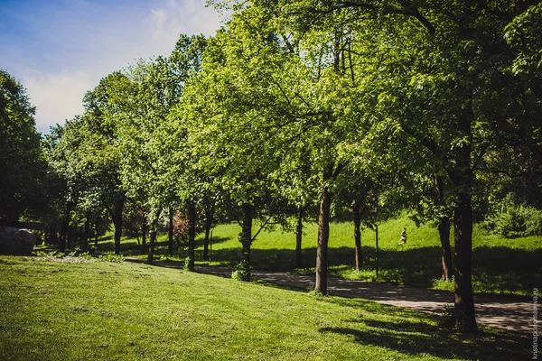Beautiful park in spring time — Stock Photo, Image
