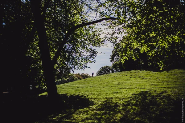 Bahar zaman güzel park — Stok fotoğraf