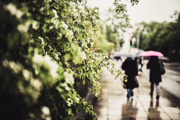 insanlar ile yağmurlu zamanında kalkıyor