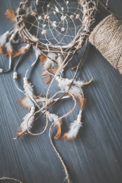 Dream catcher with branches and feathers — Stock Photo, Image