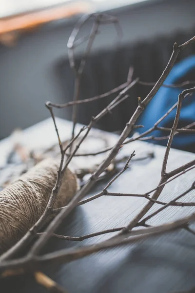 Beautiful tree branches — Stock Photo, Image