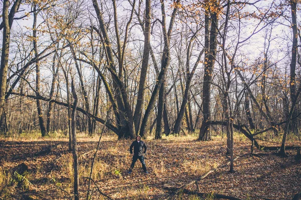 erkek sonbahar orman