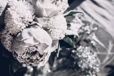 güzel kış peonies ve arka plan üzerinde parıldıyor Close-Up