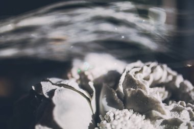 güzel buket peonies antika arka plan üzerinde Close-Up