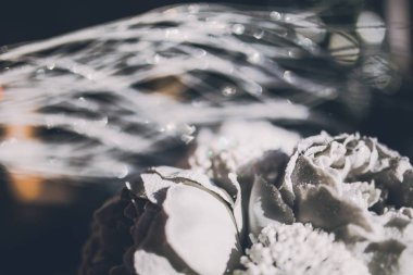 güzel kış peonies ve arka plan üzerinde parıldıyor Close-Up