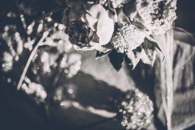 güzel kış peonies ve arka plan üzerinde parıldıyor Close-Up