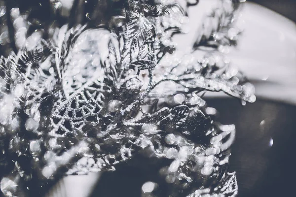 美しい冬の装飾とバック グラウンドの上で輝きのアップ — ストック写真