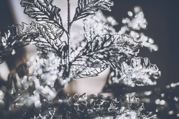 Közeli Kép Gyönyörű Téli Díszítéssel Ragyog Háttérben — Stock Fotó