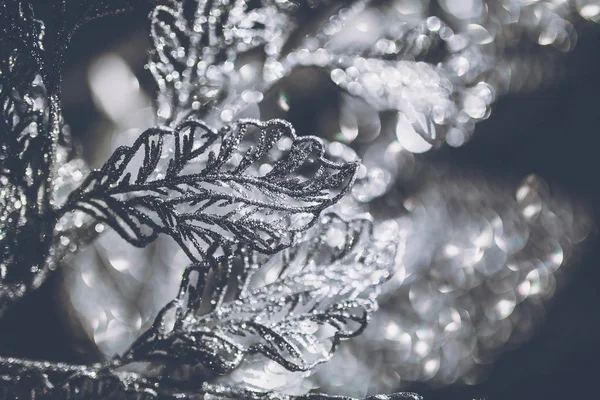 Közeli Kép Gyönyörű Ezüst Díszítéssel Ragyog Háttérben — Stock Fotó