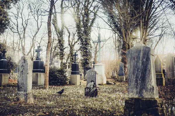 Закри Старі Надгробними Плитами Хрест Мюнхені Кладовищі Німеччині — стокове фото