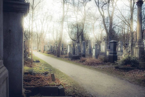 Vecchio Sentiero Cimiteriale Con Lapidi All Ora Sole Cimitero Monaco — Foto Stock