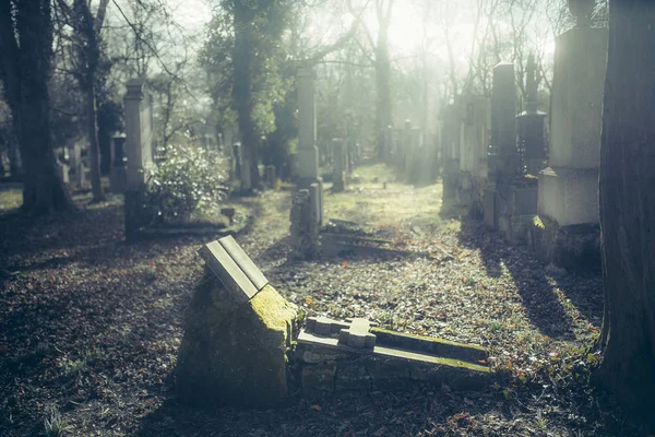 Primo Piano Vecchie Lapidi Con Croce Cimitero Monaco Germania — Foto Stock