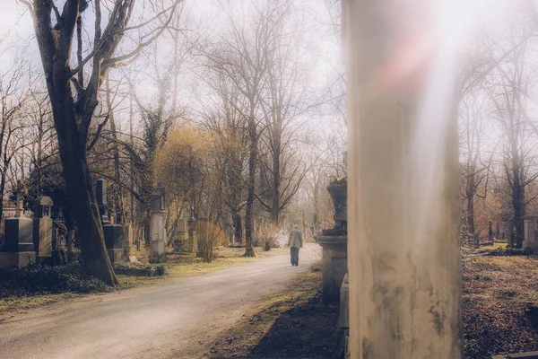 Caminhada Masculina Caminho Velho Cemitério Época Ensolarada Cemitério Munique Alemanha — Fotografia de Stock