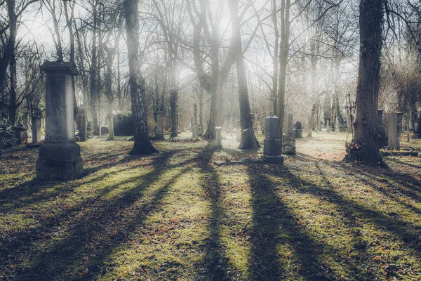 Gamla Kyrkogården Sökvägen Soliga Tid München Cemetery Tyskland — Stockfoto