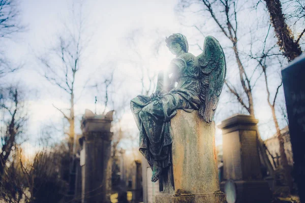 Detail Starých Angel Pomník Hřbitově Německu Mnichově — Stock fotografie