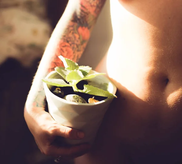 Primer Plano Hembra Con Tatuaje Mano Sosteniendo Verde Planta Casera — Foto de Stock