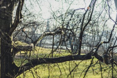 güzel tarihi Dresden şehir güneşli anda Almanya