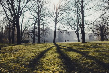 Dresden şehir güneşli anda Almanya'da ağaçlarda ile tarihi binalar