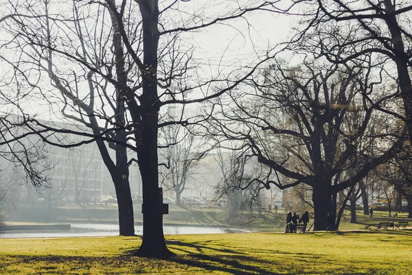 Historical Buildings Trees Green Grass Dresden City Germany — Stock Photo, Image