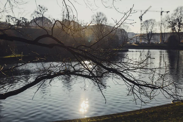 Autumn Park Trees Calm River Dresden City Germany — Stock Photo, Image